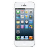 Apple iPhone 5 16Gb white - Назарово